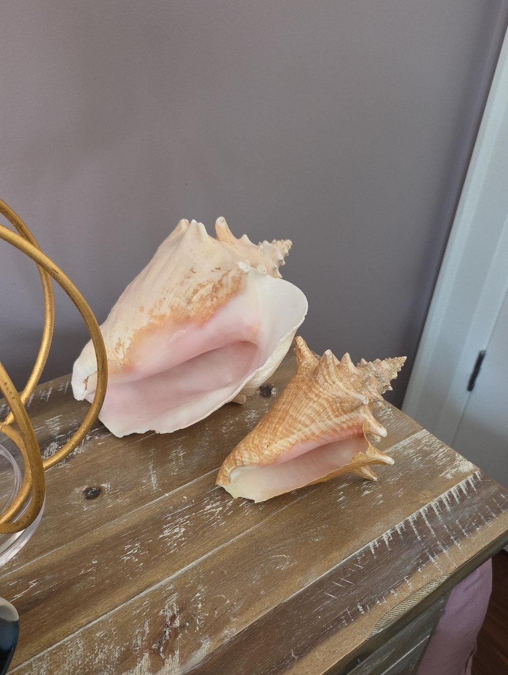 Decorative Pink and Cream Conch Shells - Set of 2